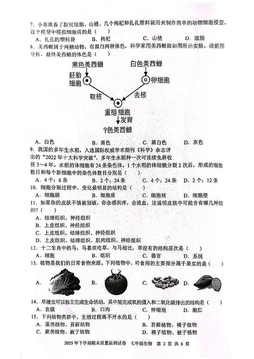 湖南省邵阳市邵东市2025-2026学年七年级上学期1月期末生物试题第2页