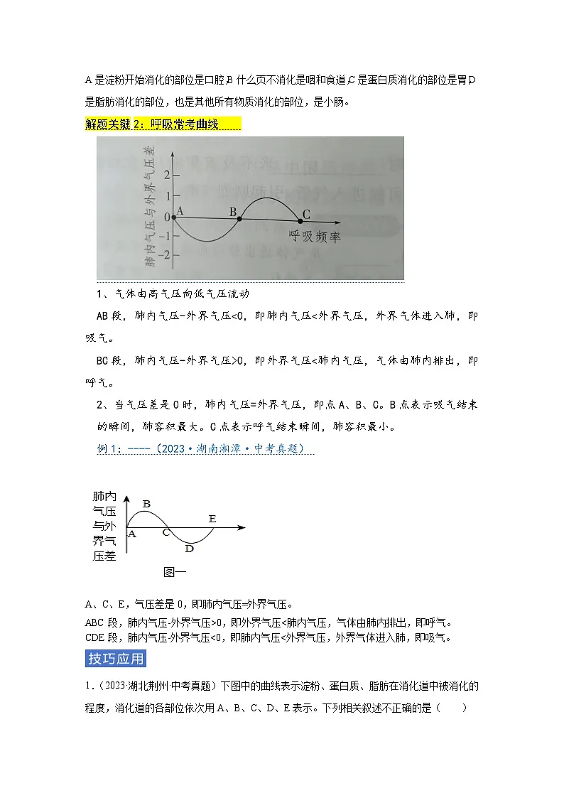 专题06 人体的新陈代谢（教师版）第2页