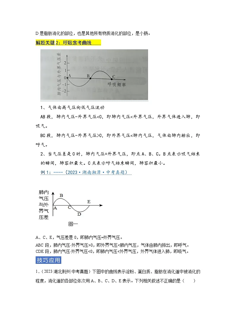专题06 人体的新陈代谢（学生版）第2页