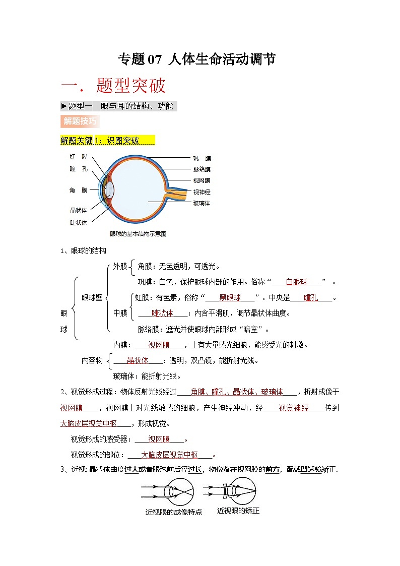 专题07 人体生命活动调节（教师版）第1页