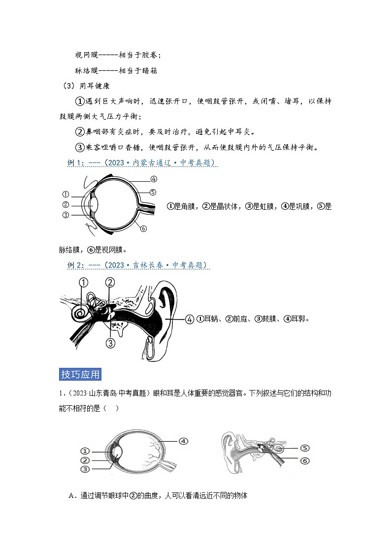 专题07 人体生命活动调节（教师版）第3页
