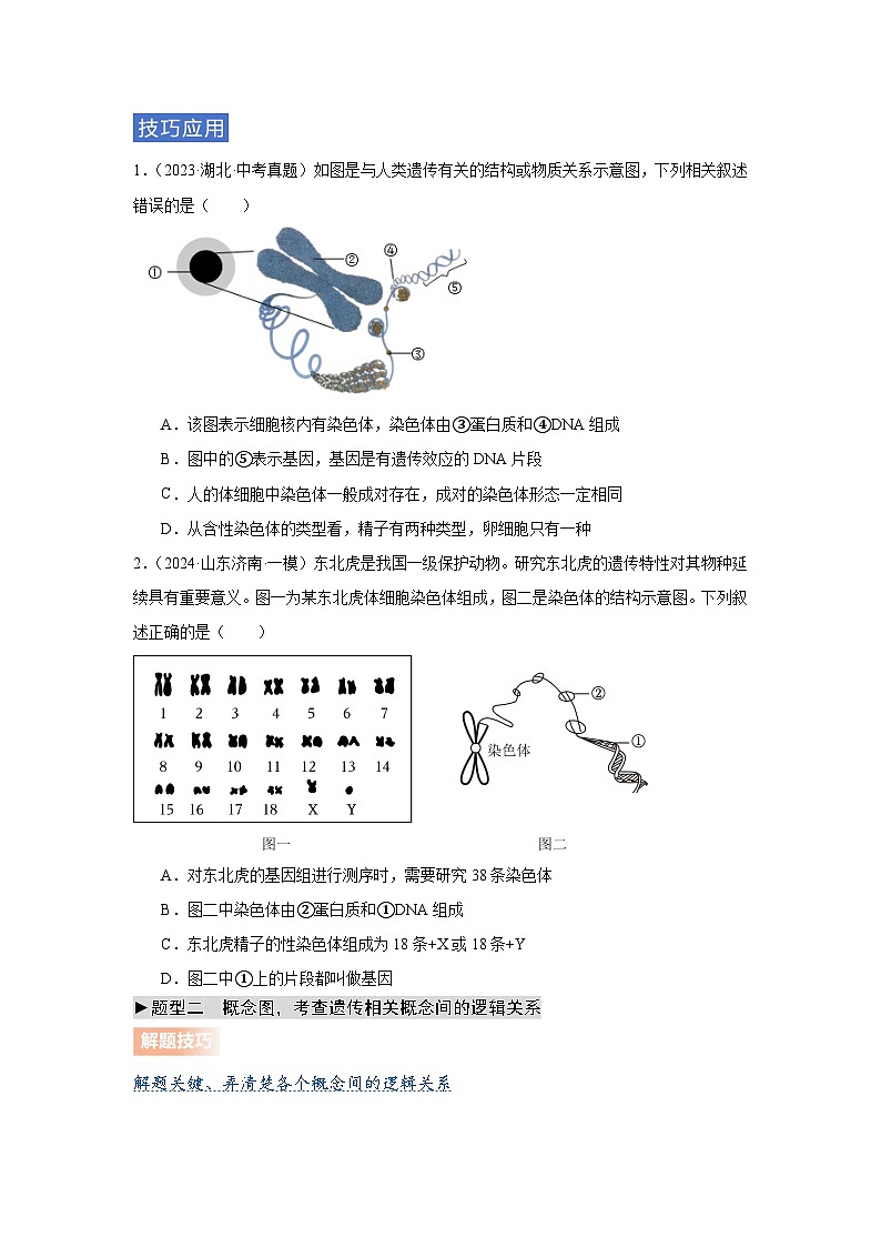 专题09 遗传和变异（学生版）第2页