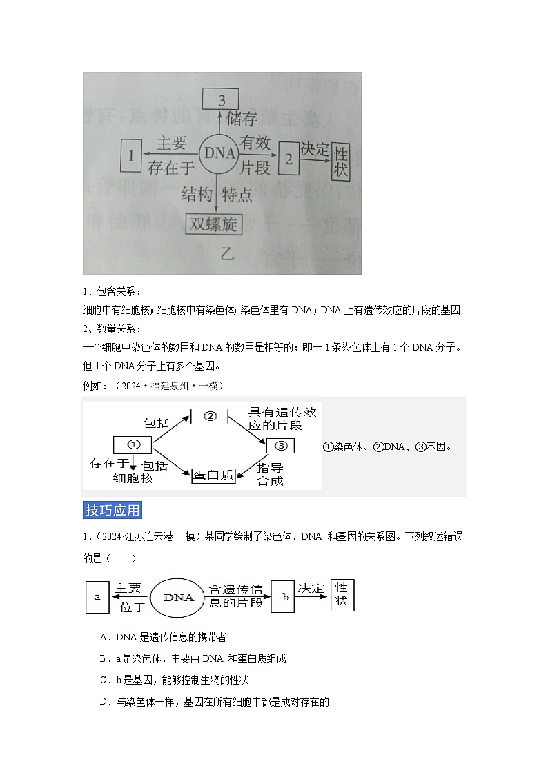 专题09 遗传和变异（学生版）第3页