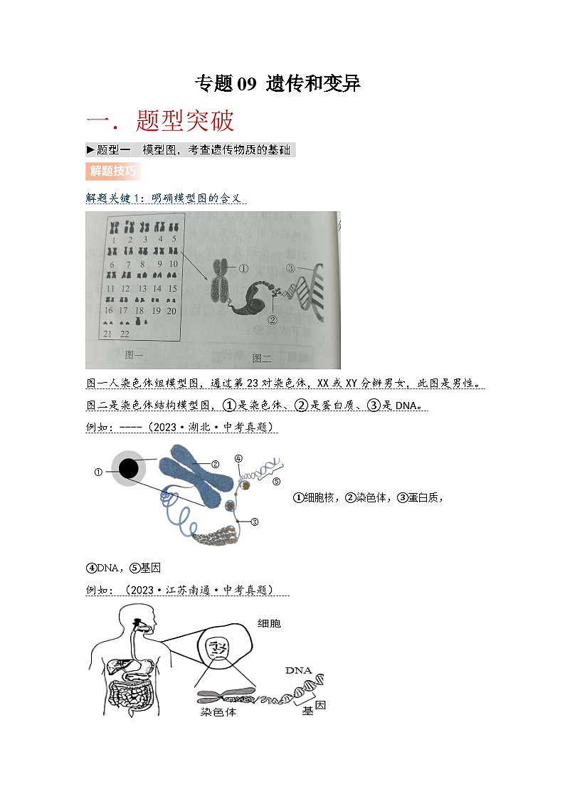 专题09 遗传和变异（教师版）第1页