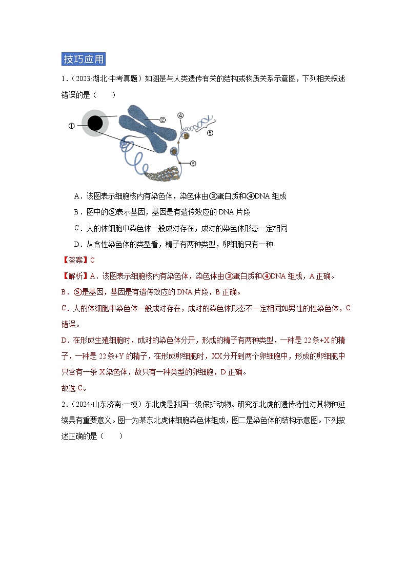 专题09 遗传和变异（教师版）第2页