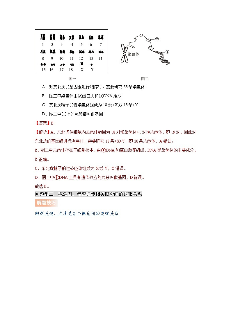 专题09 遗传和变异（教师版）第3页