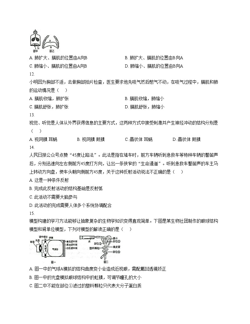 河南省平顶山市新华区第四十四中学2025_2026学年八年级上学期12月月考生物试题 （文字版，含答案）第3页
