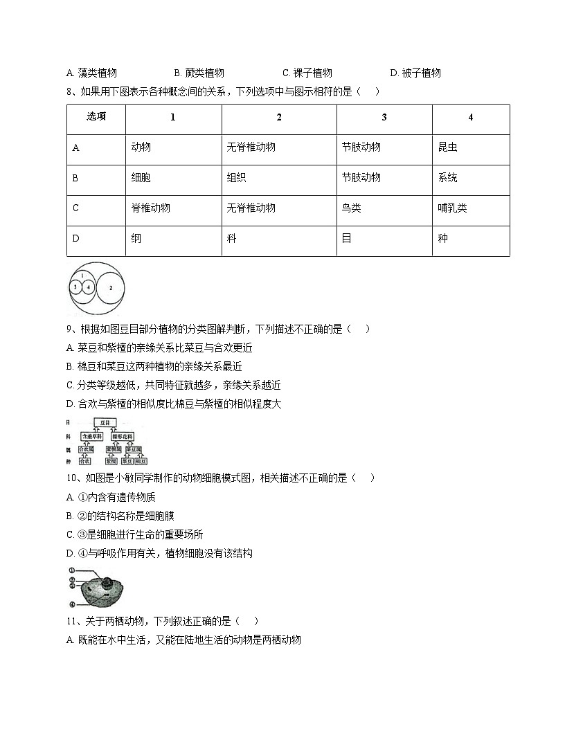 河南省平顶山市新华区第四十四中学2025_2026学年七年级上学期12月月考生物试题（文字版，含答案）第2页