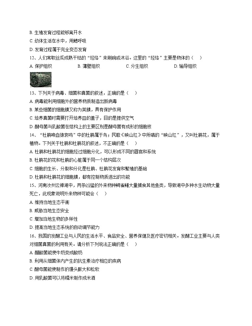 河南省平顶山市新华区第四十四中学2025_2026学年七年级上学期12月月考生物试题（文字版，含答案）第3页