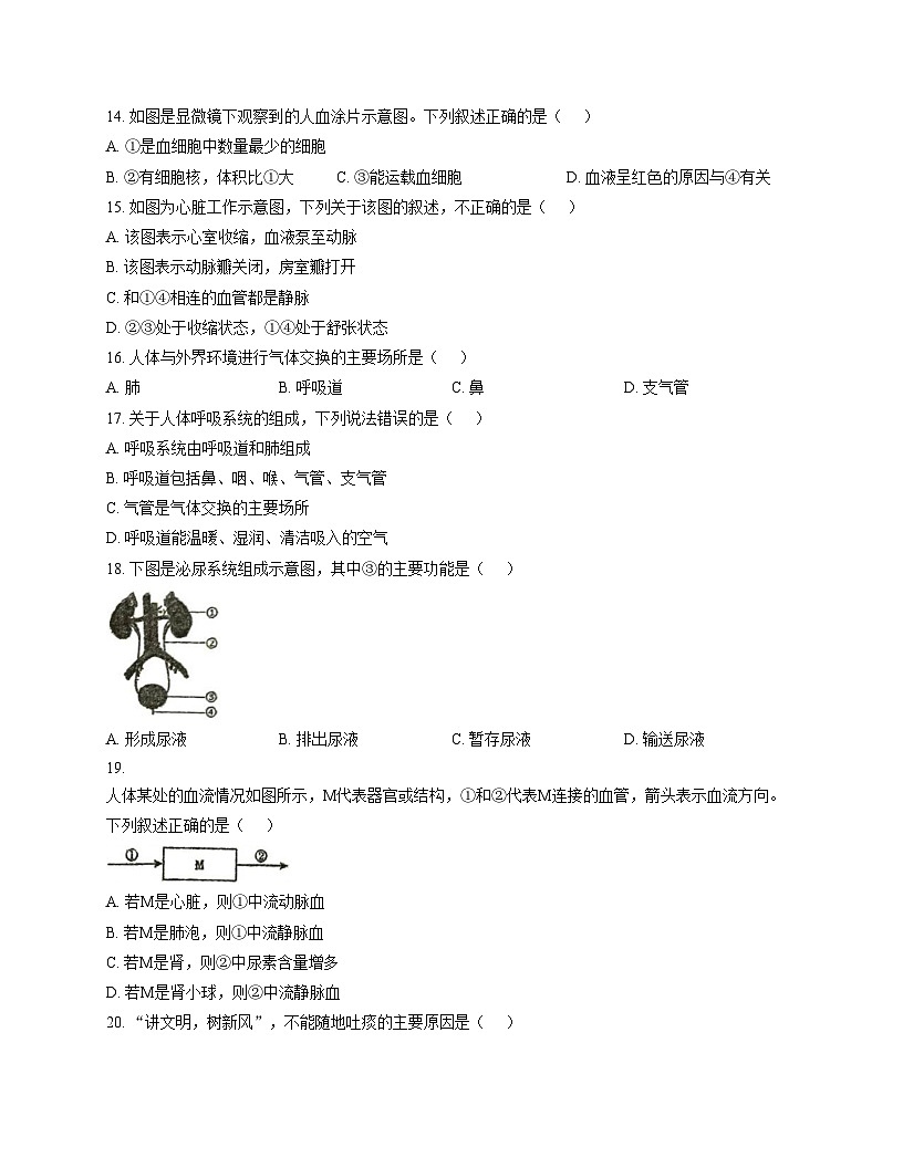 江苏省徐州市沛县实验学校联盟学区2025_2026学年八年级上学期12月月考生物试题 （文字版，含答案）第3页