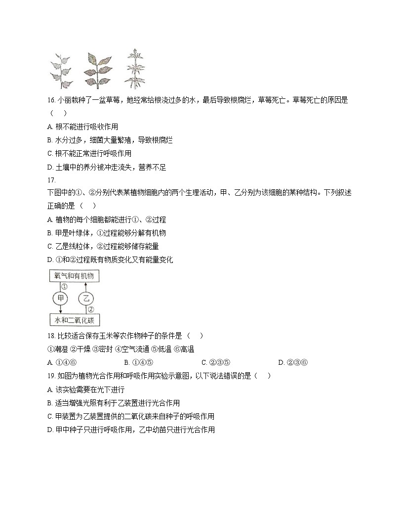 广东省湛江市廉江市第八中学2025_2026学年七年级上学期12月月考生物试题（文字版，含答案）第3页