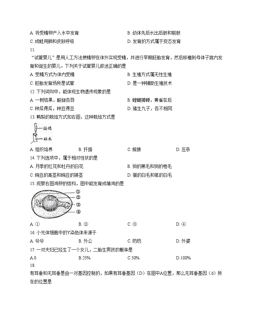 福建省泉州市晋江市松熹中学2025—2026学年八年级上学期12月月考生物试题 （文字版，含答案）第2页