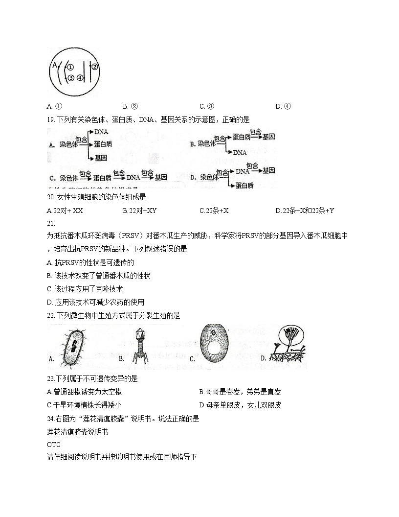 福建省泉州市晋江市松熹中学2025—2026学年八年级上学期12月月考生物试题 （文字版，含答案）第3页