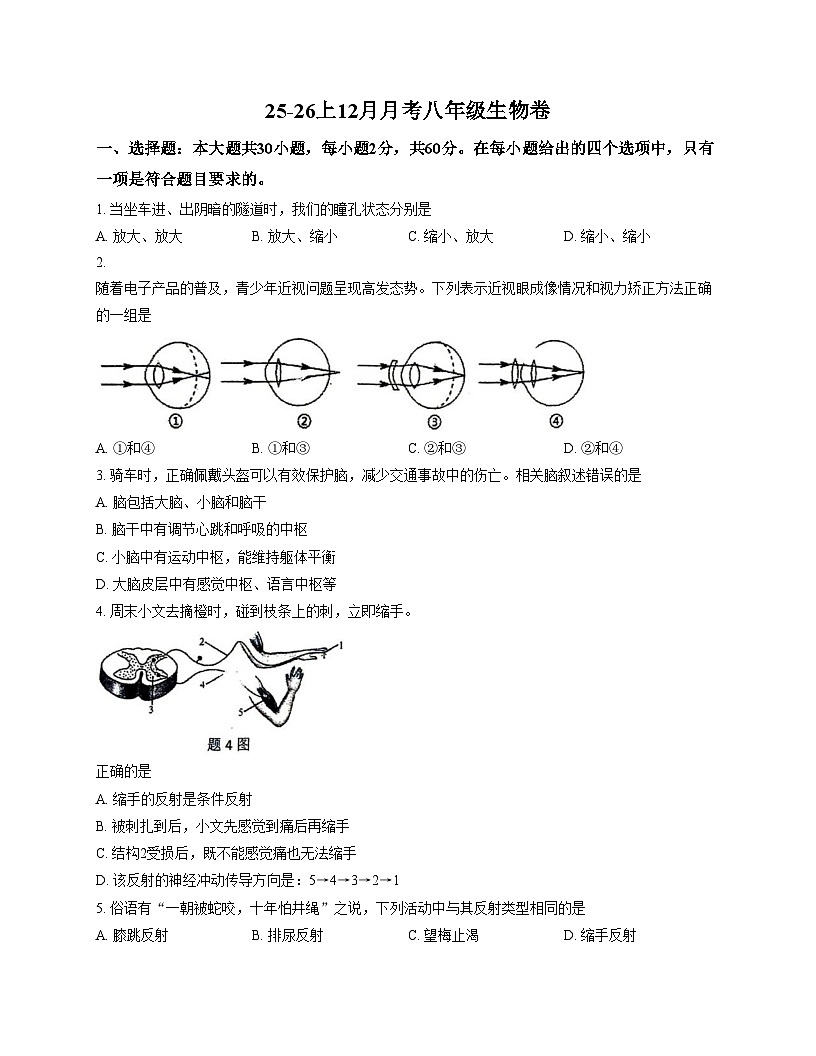 广东省江门市蓬江区培英初级中学2025_2026学年七年级上学期12月月考生物试题 （文字版，含答案）第1页