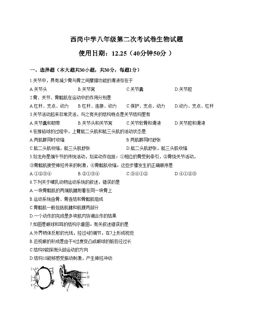 山东省枣庄市滕州市西岗中学2025_2026学年八年级上学期第二次月考生物试题 （文字版，含答案）第1页