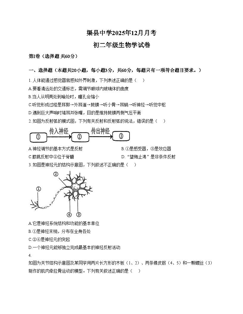 四川省达州市渠县中学2025_2026学年八年级上学期12月月考生物试题（文字版，含答案）第1页