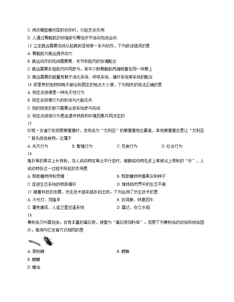 广东省肇庆市第一中学2024_2025学年九年级上学期期末考试生物试题（文字版，含答案）第3页