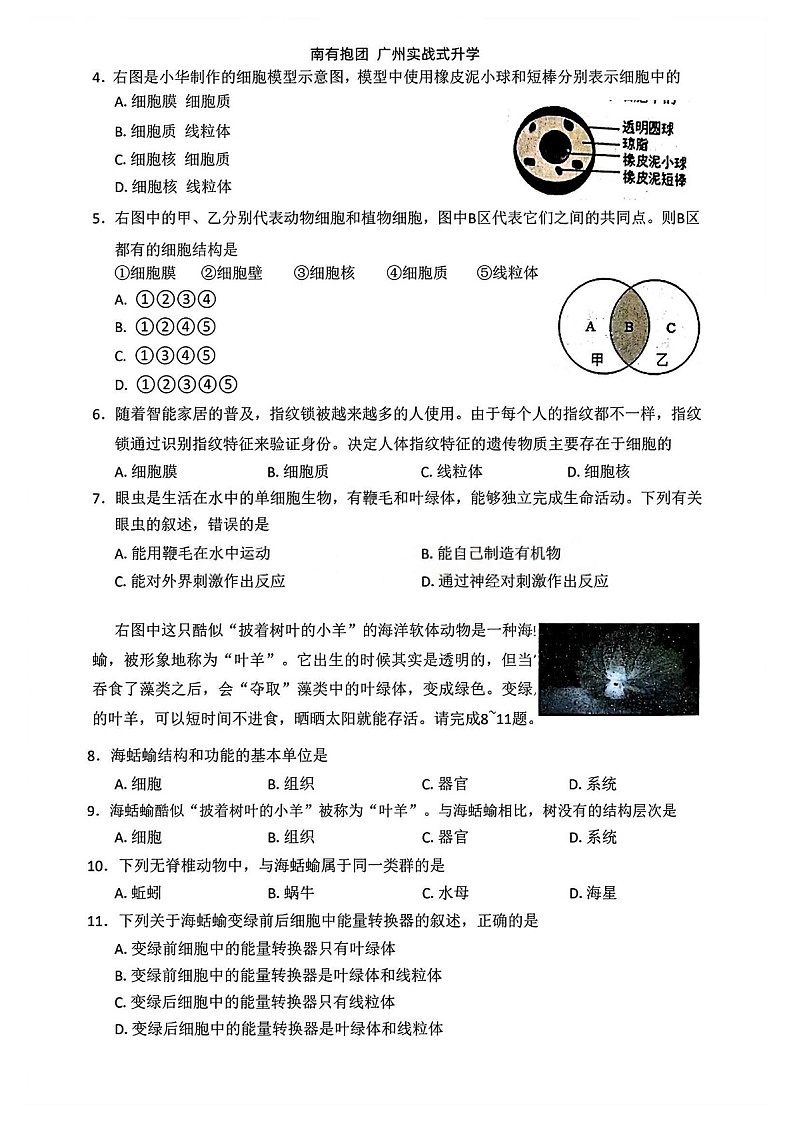 广州市天河区2025-2026学年七年级上学期期末测试生物试题（含答案）第2页