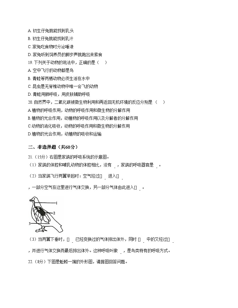 河南周口商水新世纪学校2025_2026学年九年级上生物期中考试(文字版，含答案)第3页