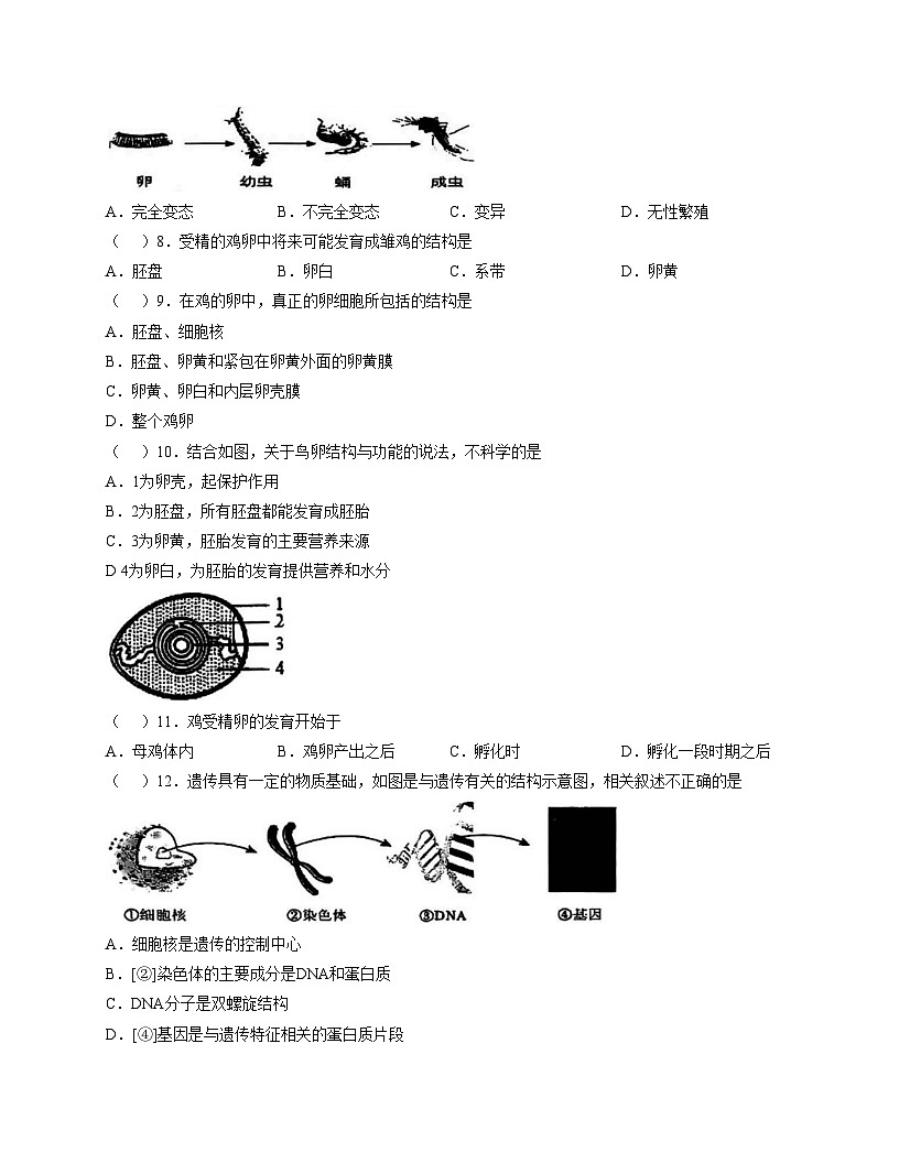 山东省枣庄市2025_2026学年九年级上学期生物月考试题（文字版，含答案）第2页