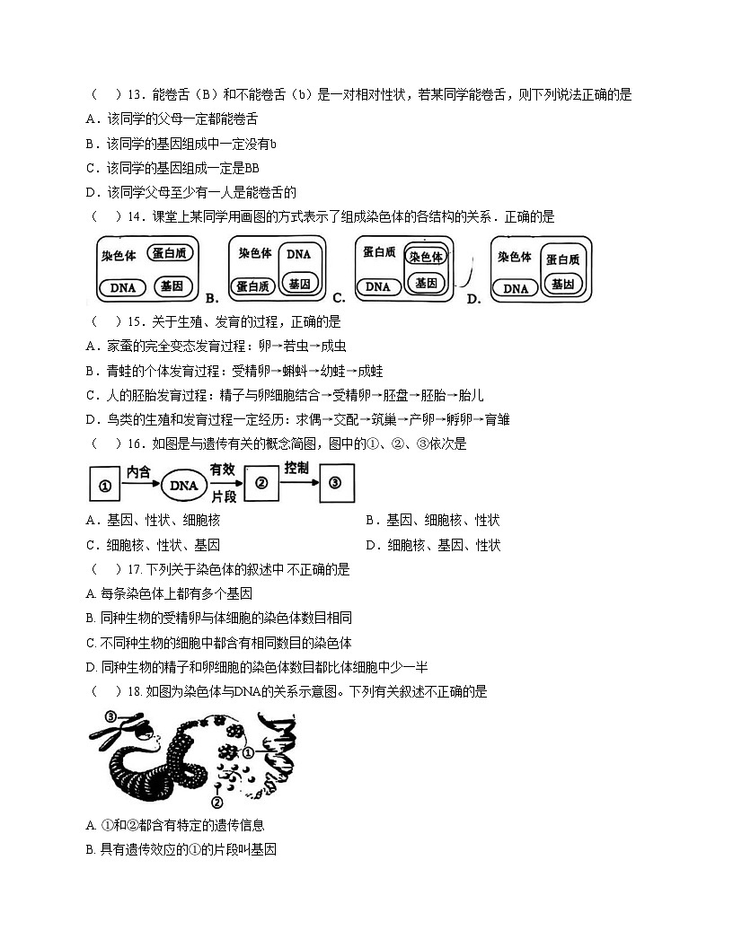山东省枣庄市2025_2026学年九年级上学期生物月考试题（文字版，含答案）第3页
