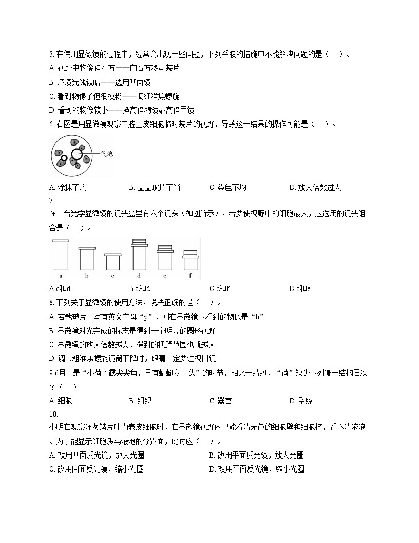 山东省德州市齐河县刘桥乡中学2025_2026学年七年级上学期第二次月考生物试题（文字版，含答案）第2页