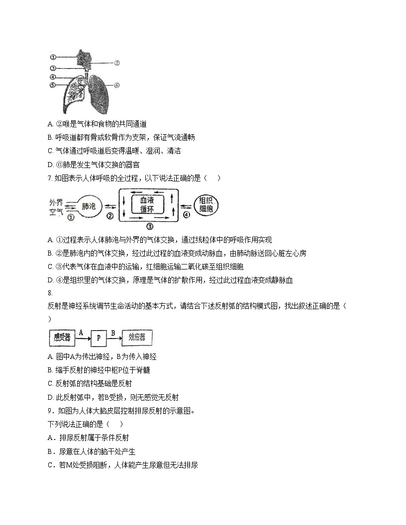 江苏省徐州市沛县初中联盟学区2025_2026学年八年级上学期12月月考生物试题（文字版，含答案）第2页
