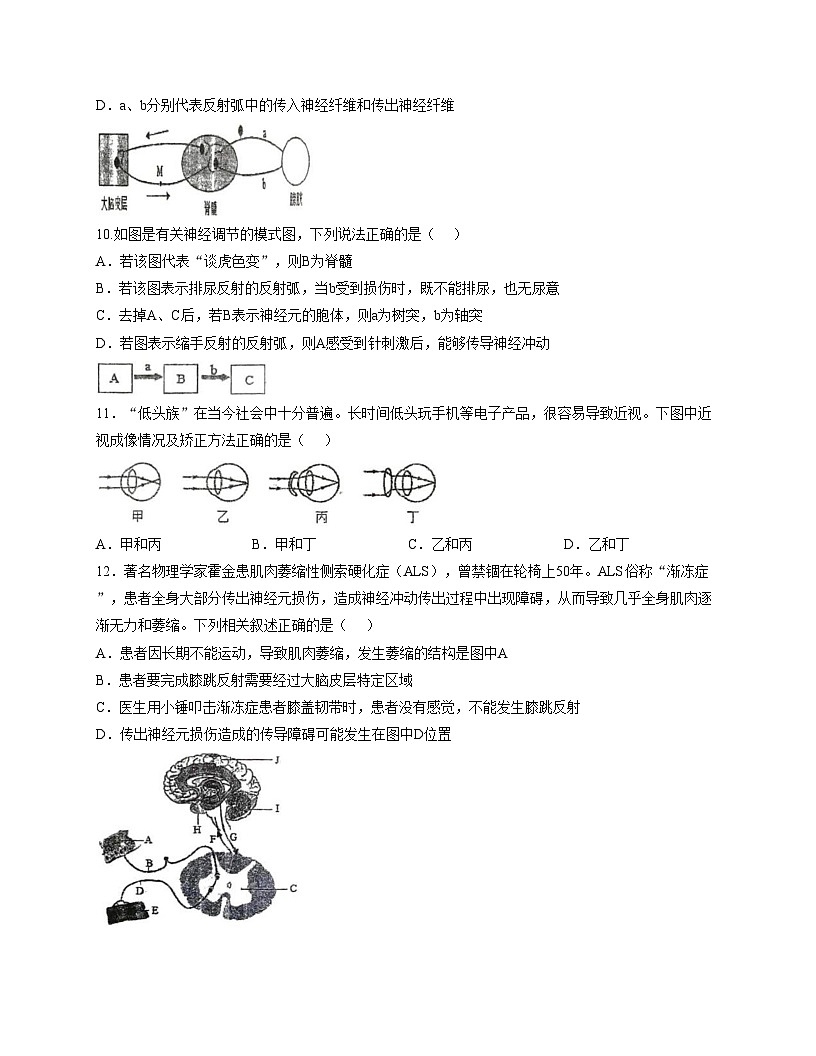 江苏省徐州市沛县初中联盟学区2025_2026学年八年级上学期12月月考生物试题（文字版，含答案）第3页