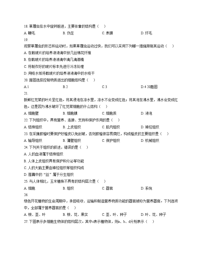 四川省巴中市南江县实验中学2025_2026学年七年级上学期半期考试生物试题（文字版，含答案）第3页