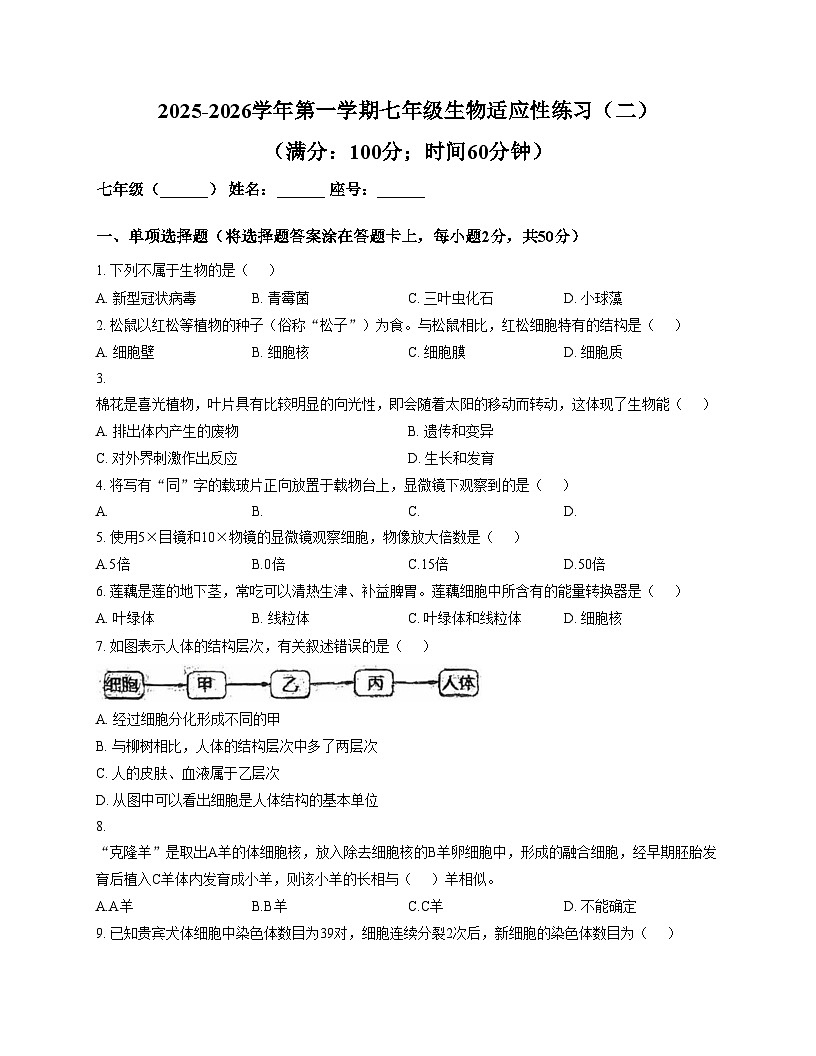 福建省龙岩市长汀县第四中学2025_2026学年七年级上学期12月月考生物试题（文字版，含答案）第1页