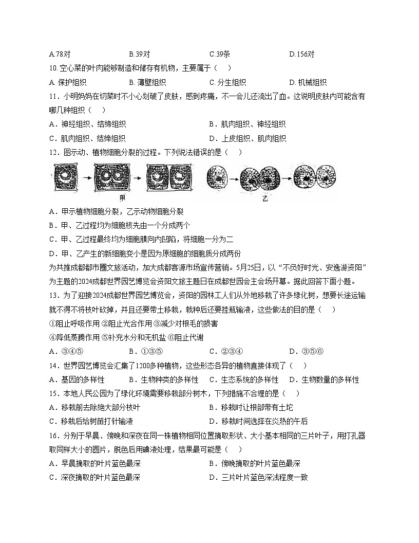 福建省龙岩市长汀县第四中学2025_2026学年七年级上学期12月月考生物试题（文字版，含答案）第2页
