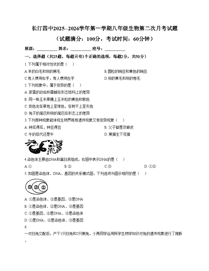 福建省龙岩市长汀县第四中学2025_2026学年八年级上学期第二次月考生物试题（文字版，含答案）第1页