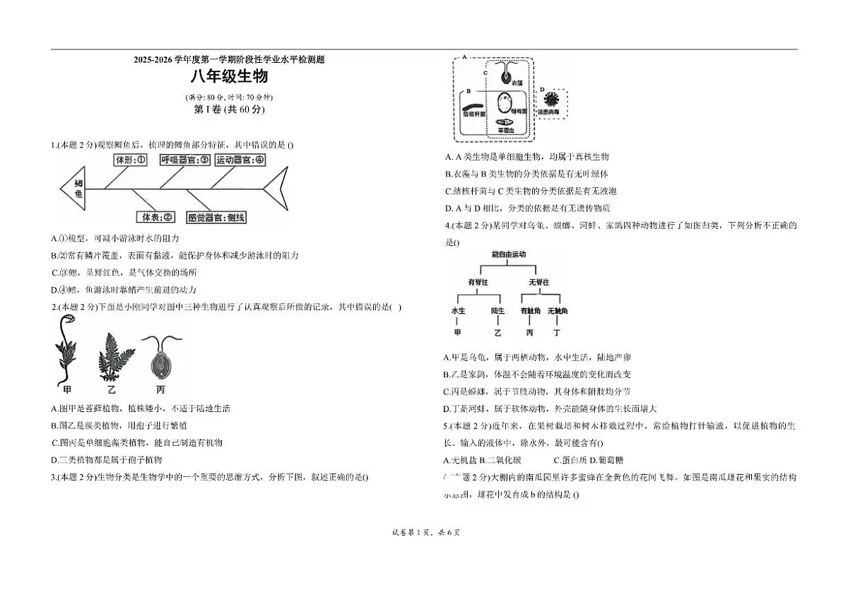 2025-2026学年山东省青岛市城阳区第十三中学八年级上学期1月期末生物试题（有答案）第1页