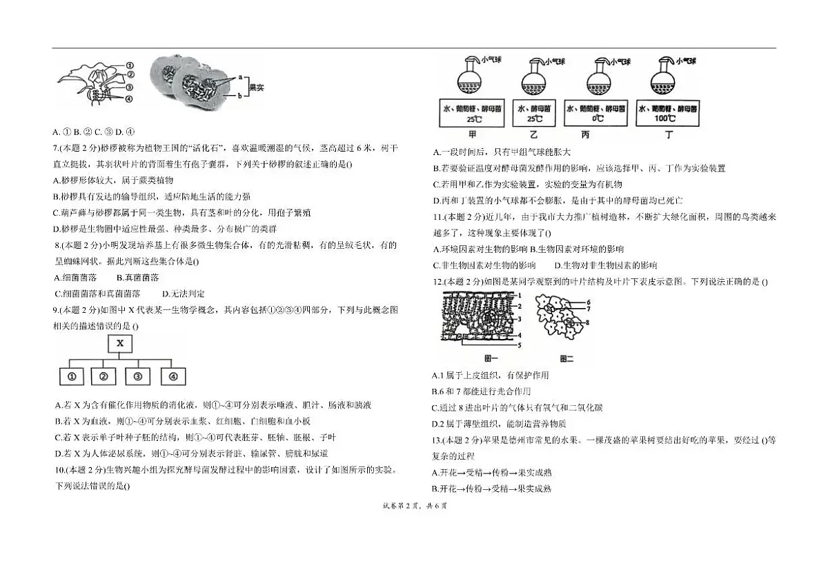 2025-2026学年山东省青岛市城阳区第十三中学八年级上学期1月期末生物试题（有答案）第2页