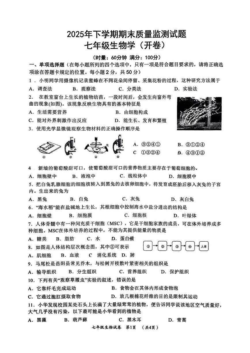 湖南省岳阳市岳阳县2025--2026学年七年级上学期期末生物（开卷）试卷（含答案）第1页