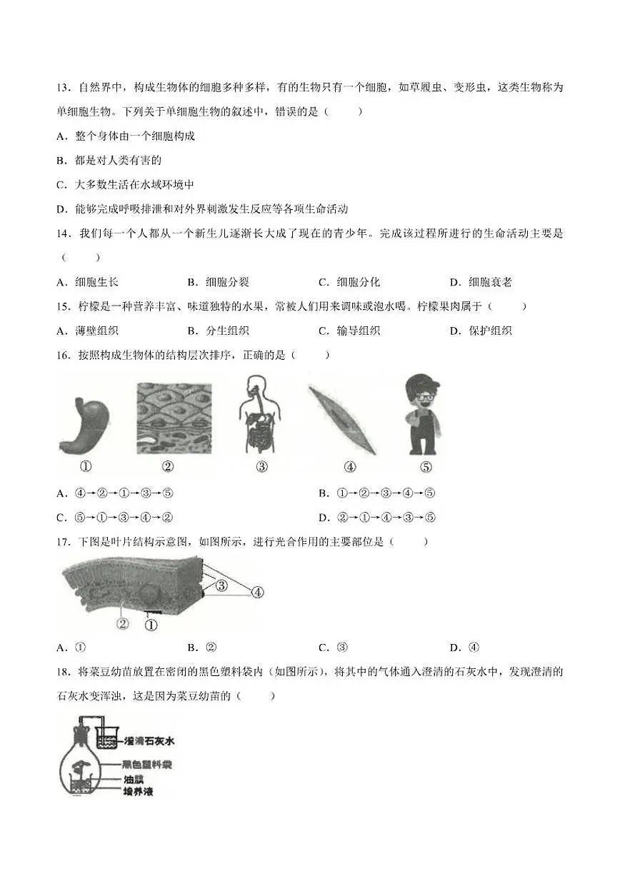 2025-2026学年云南省玉溪市七年级上学期期末生物试题（含答案）第3页