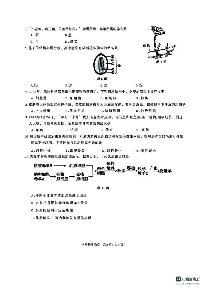 2025-2026学年广东省深圳市南山区七年级上学期生物学期末质量检测试题（含解析）第2页