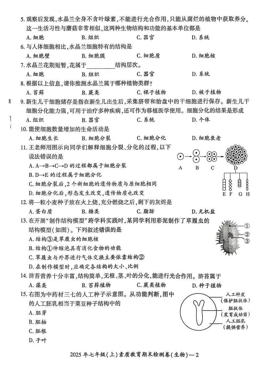 2025-2026学年湖南省邵阳市大祥区七年级上学期期末生物试题（含答案）第2页