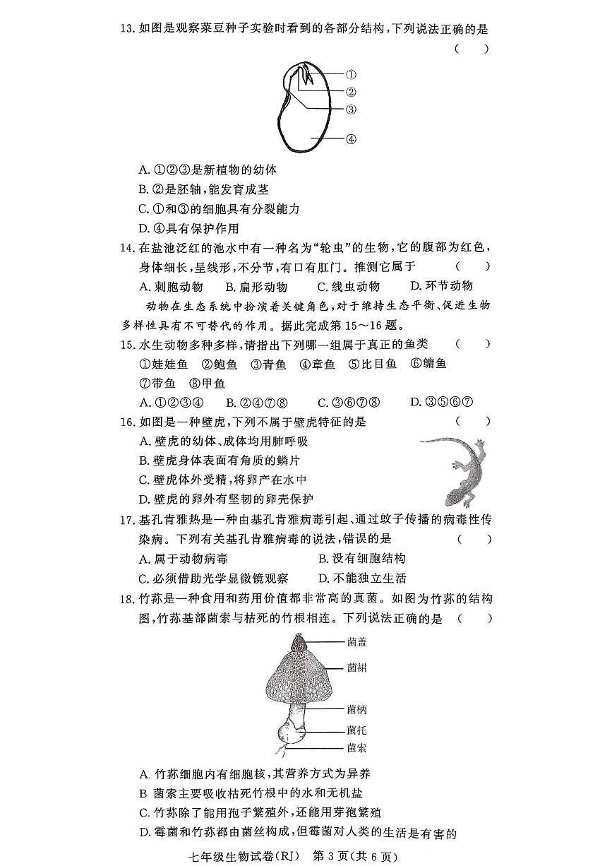 河南省驻马店市汝南县一中，县二中，县三中联考2025-2026学年七年级上学期1月期末生物试题第3页