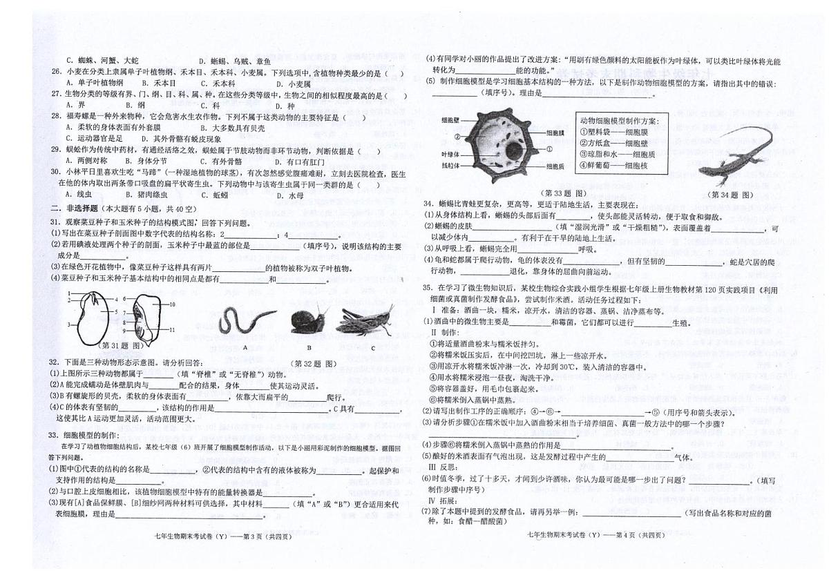 广东省汕头市潮南区陈店镇公办学校2025-2026学年七年级上学期1月期末生物试题第2页