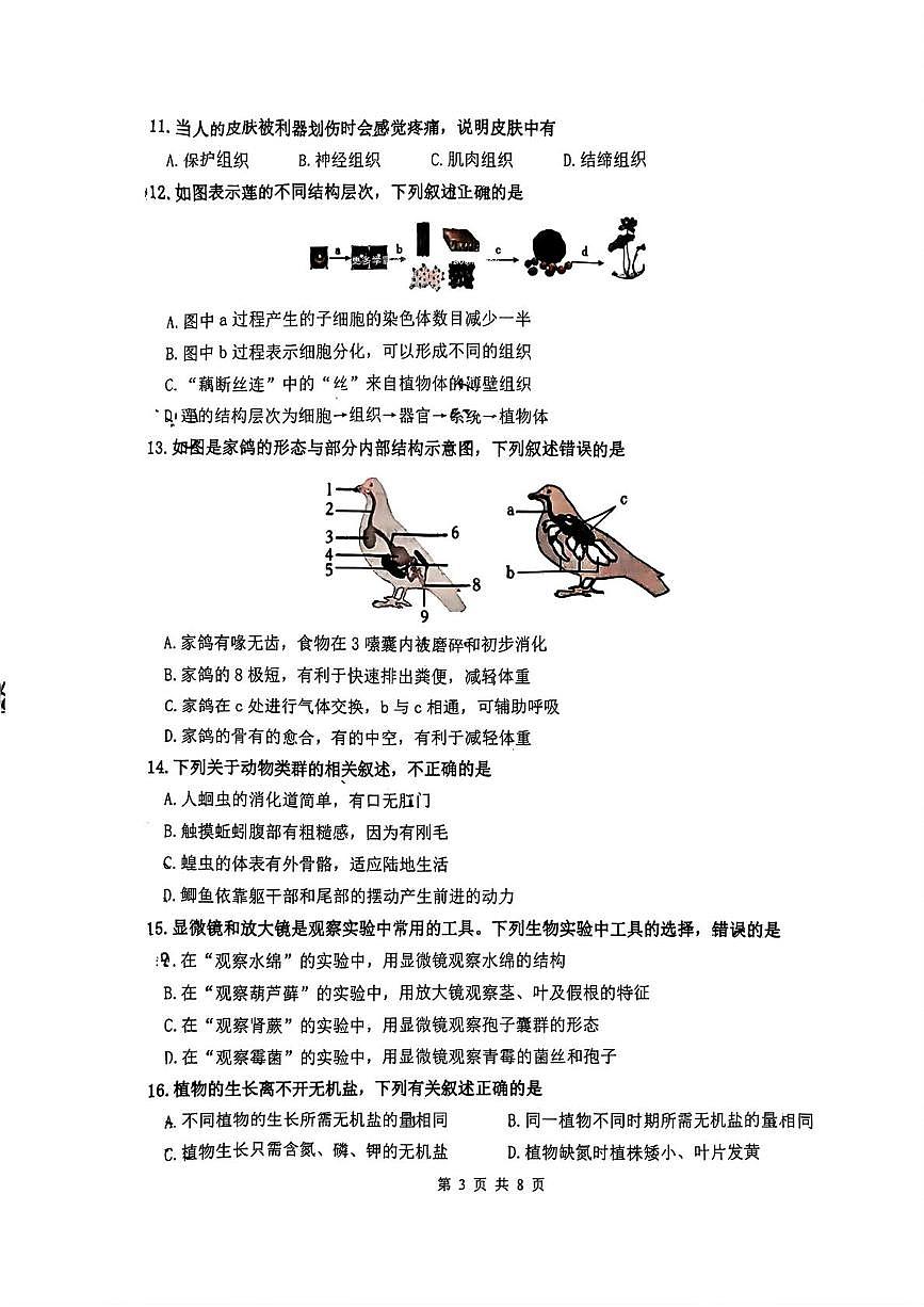 山东省济南市市中区2025-2026学年七年级上学期1月期末生物试题第3页