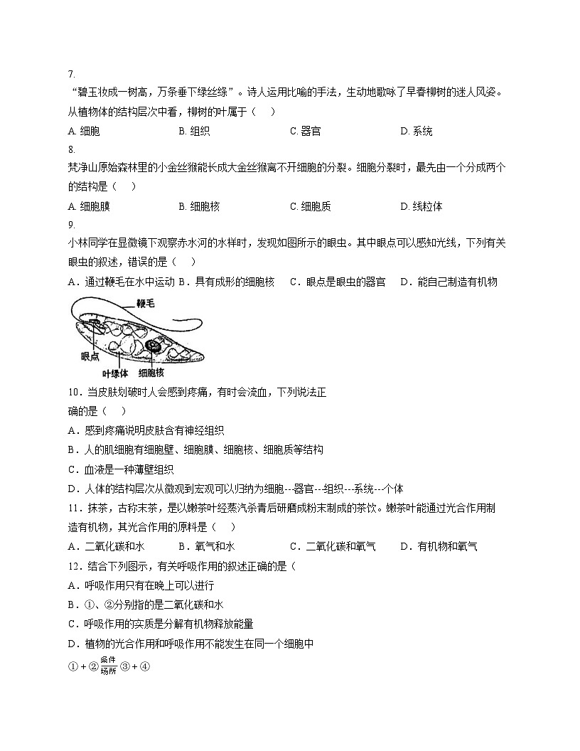 贵州省铜仁市第三中学2025_2026学年七年级上学期第三次月考生物试卷（文字版，含答案）第2页
