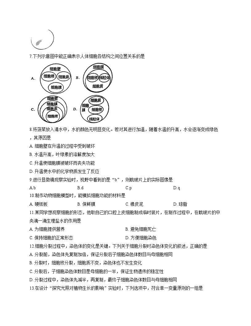 江苏省泰州市泰州中学附属初级中学2025_2026学年七年级上学期12月份检测生物试卷（文字版，含答案）第2页