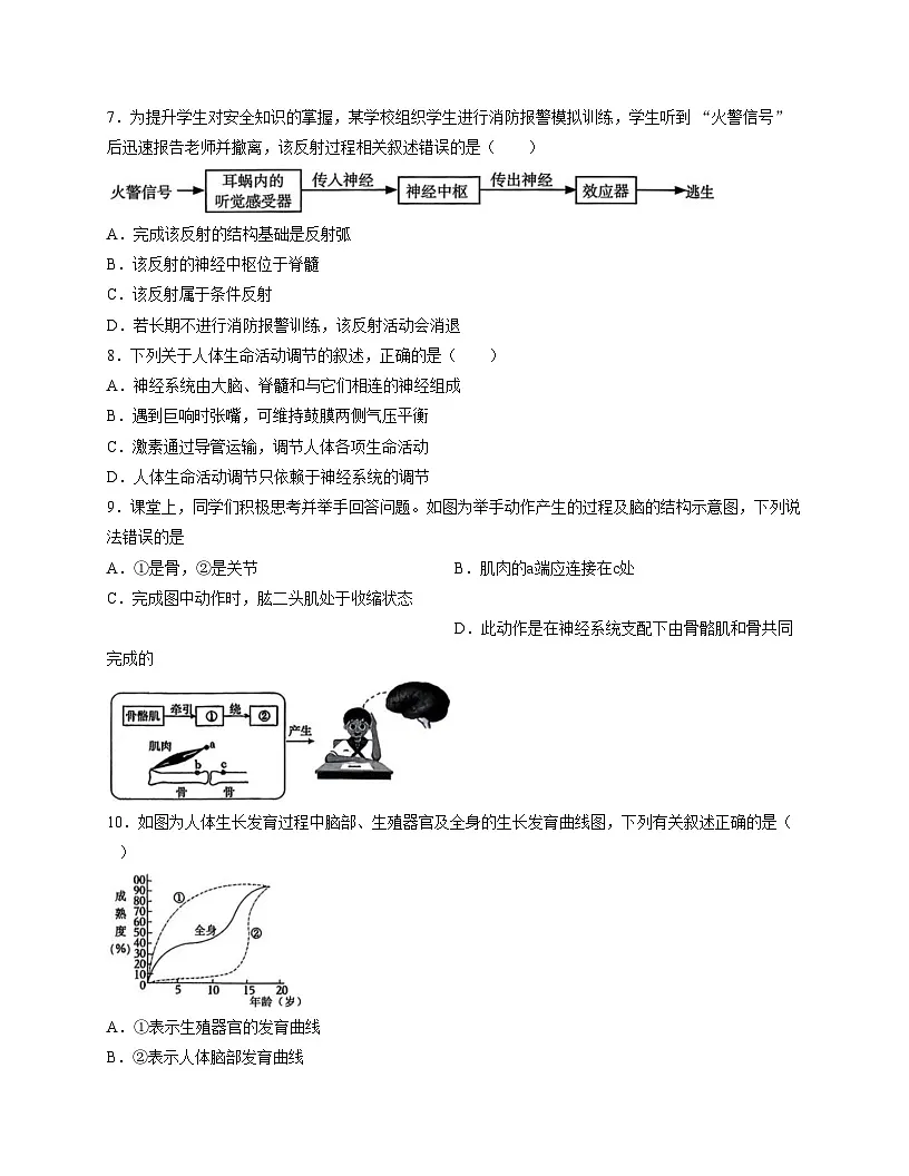 辽宁省沈阳市沈河区2025—2026学年八年级上学期生物期末试卷（文字版，含答案）第3页