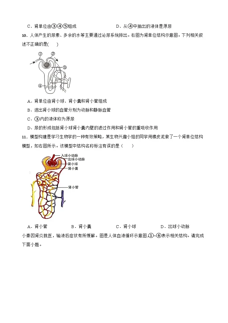 甘肃省白银市2025-2026学年上学期八年级生物期末练习卷第3页