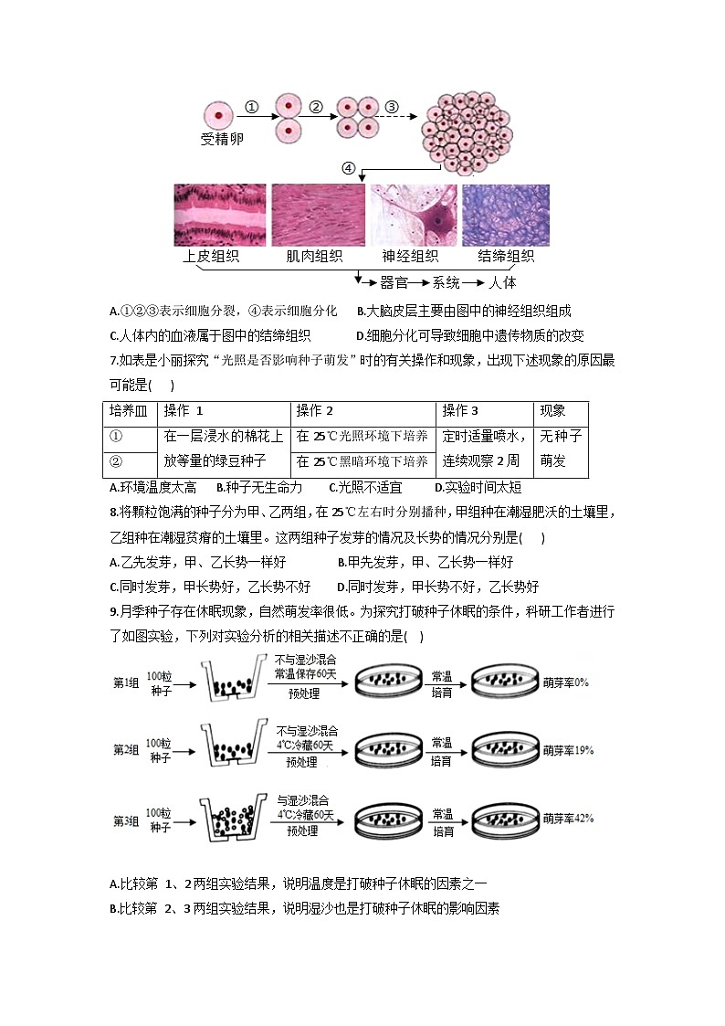 湖北省恩施2025-2026学年七年级上学期生物期末考试题卷（含答案）第2页