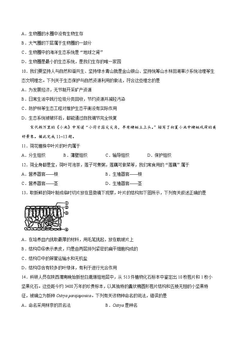 【试卷】陕西省渭南市临渭区2025-2026学年七年级上学期生物期末试题第3页
