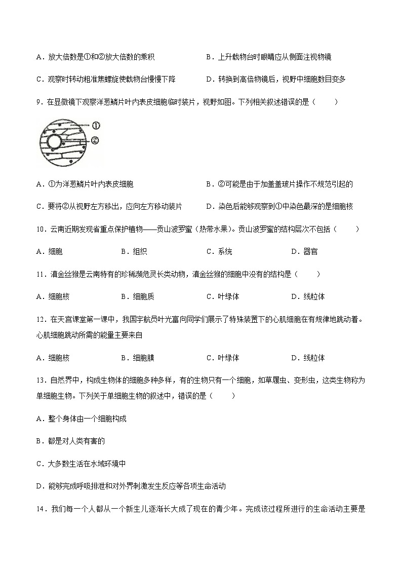 【试卷】云南省玉溪市2025-2026学年七年级上学期期末生物试题第3页