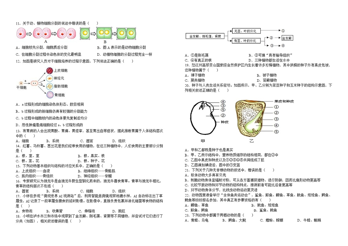 2025—2026学年上学期七年级生物学期末作业诊断练习题第2页