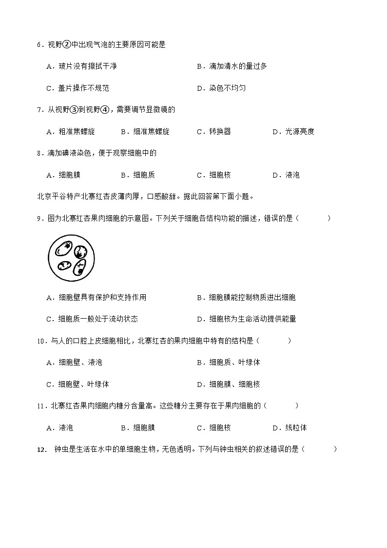 北京市朝阳区2025-2026学年上学期七年级生物期末巩固练习试卷B（含答案）第2页